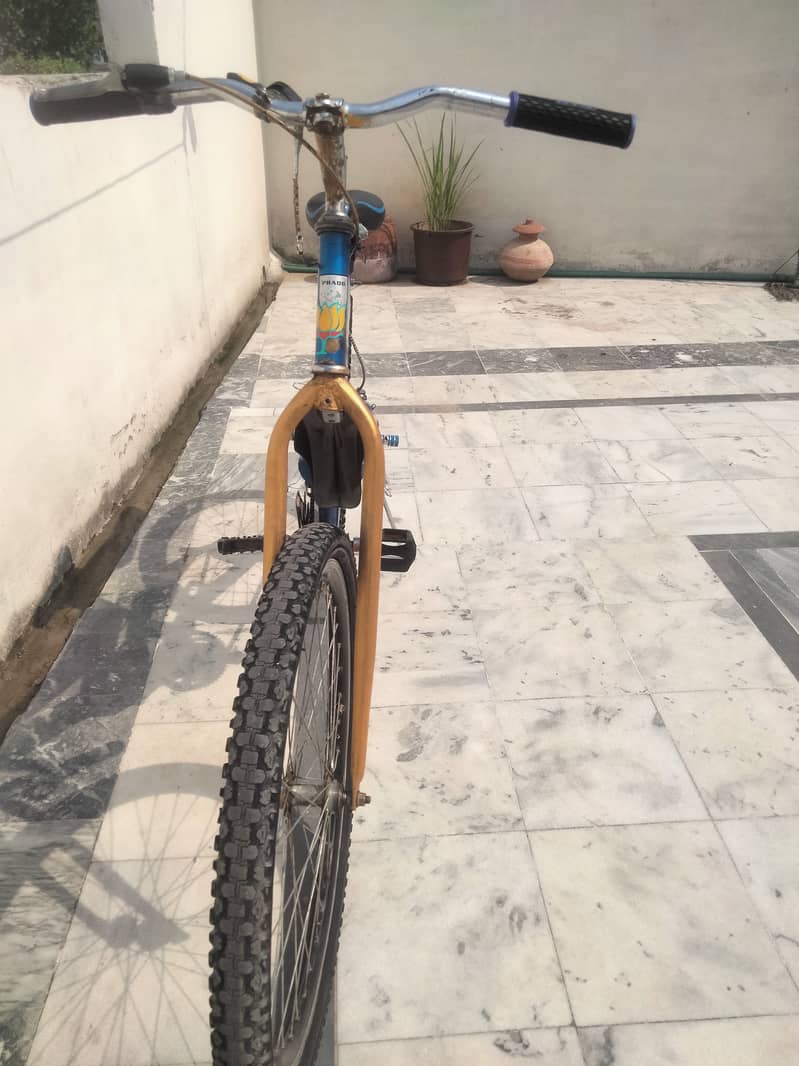 Full size cycle 5