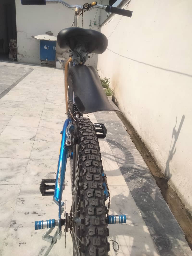 Full size cycle 6