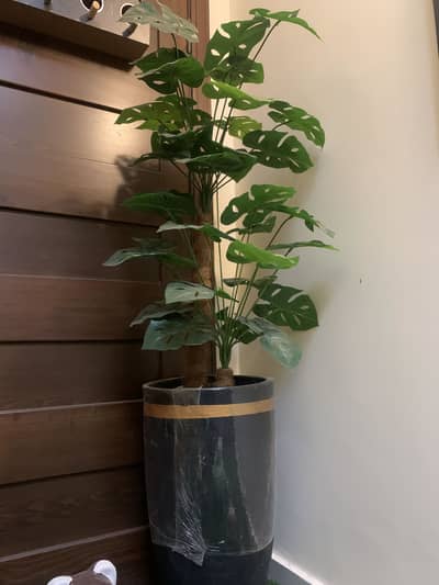 Home Decoration