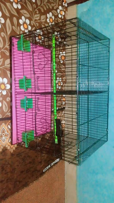 cocktail and new  cage