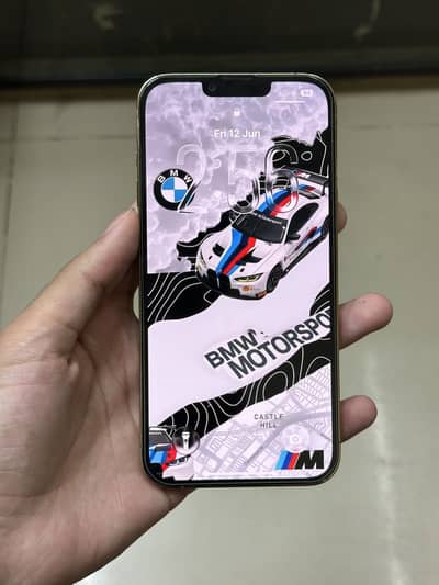 Apple iPhone 13 Pro Max