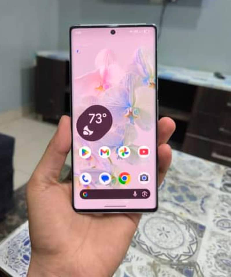 Google Pixel 6 Pro 0