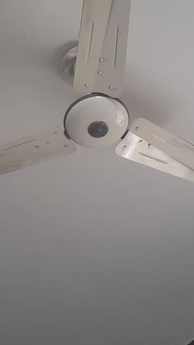 Fan (pak fan)