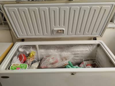 Full size waves deep freezer currently in use.