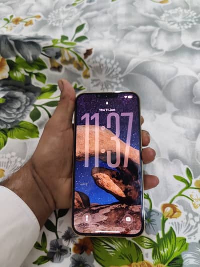 Apple iPhone 13 Pro Max