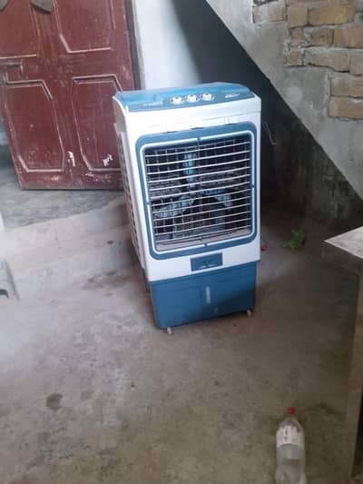 for sale.