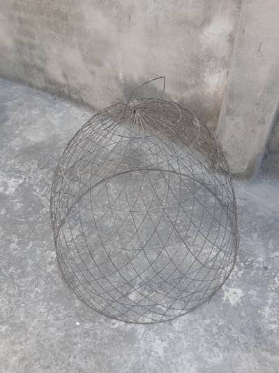 new pinjra