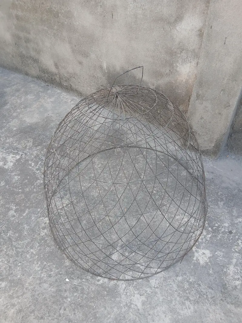 new pinjra