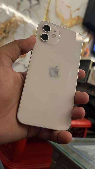 iPhone 12 panel Chang