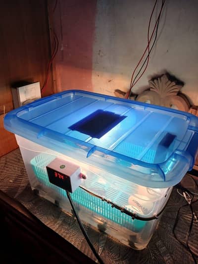 35 to 40 egg incubator 100% result garrentee 03024329933