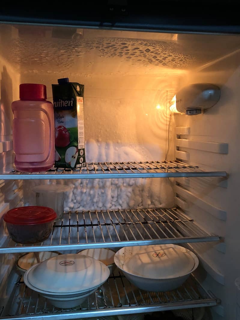 fridge 2