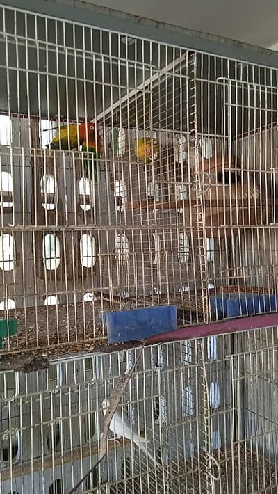 fisher 2 pair (03191452419)