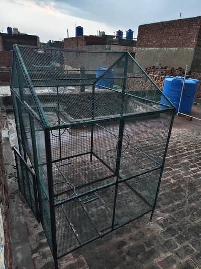 birds / dogs big cage