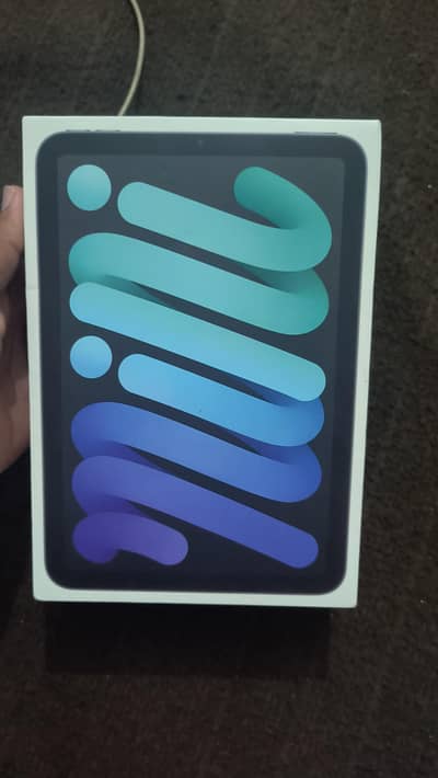 Ipad Mini 6 256gb