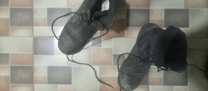 DMS for sale