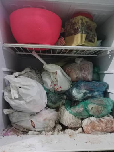 orient fridge