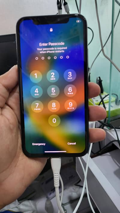 Apple iPhone X