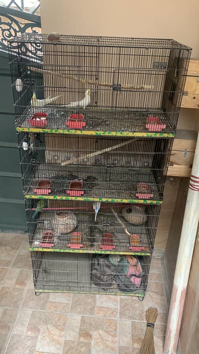 Coctail with master cage 8 portion