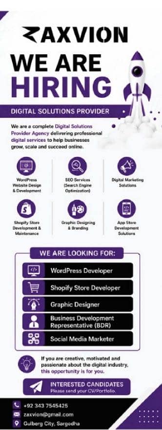 WordPress & Shopify Developers + BDR 0