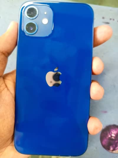 Apple iPhone 12