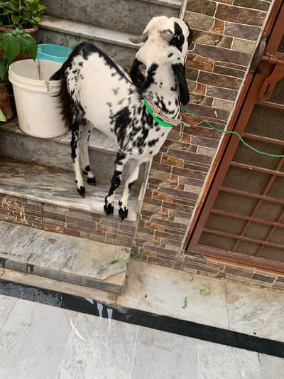 I m selling