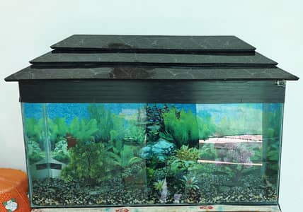 Fish Aquarium big size