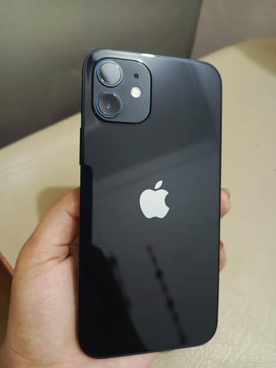 iphone 12 black