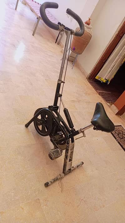 Exercise cycle