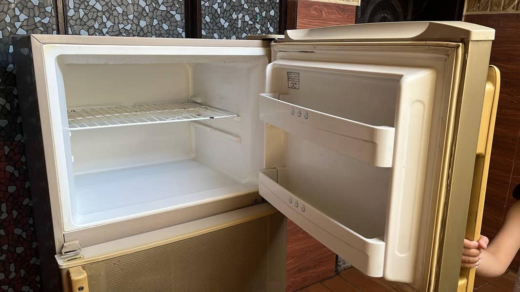 fridge 1