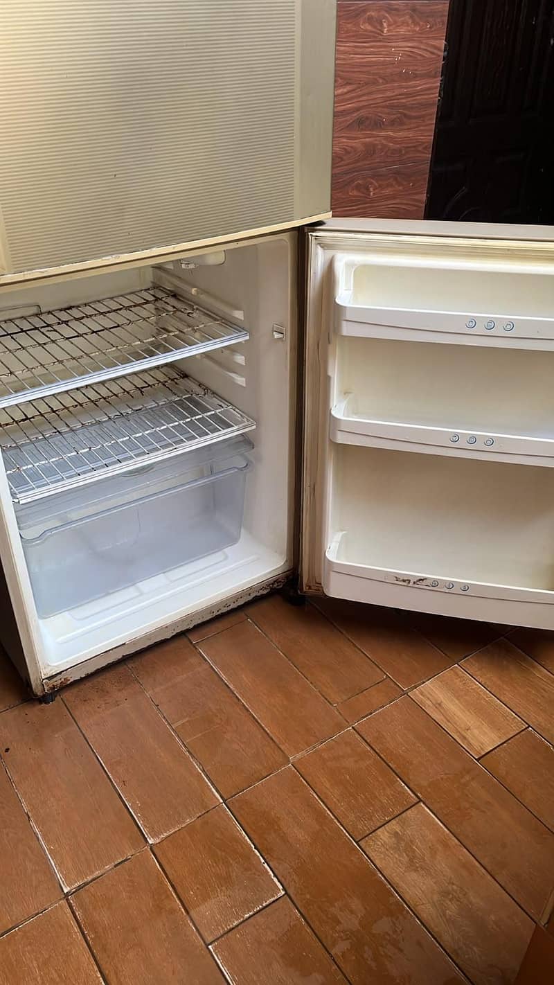fridge 2