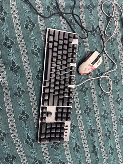 HP GK100S + Bloody Naraka L65 MAX