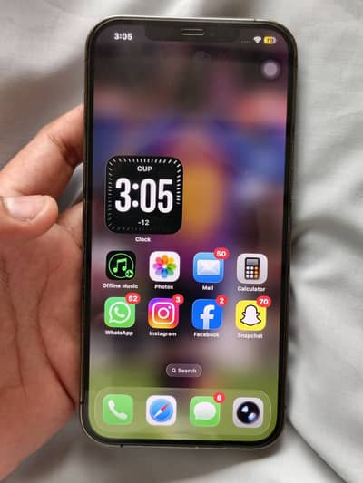Apple iPhone 12 Pro Max
