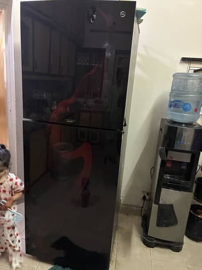 PEL Jumbo Freezer - 22250 Inverter Glass door