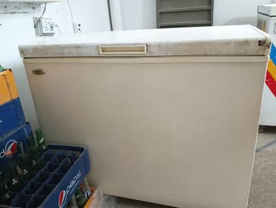 Waves Single Door Deep Freezer