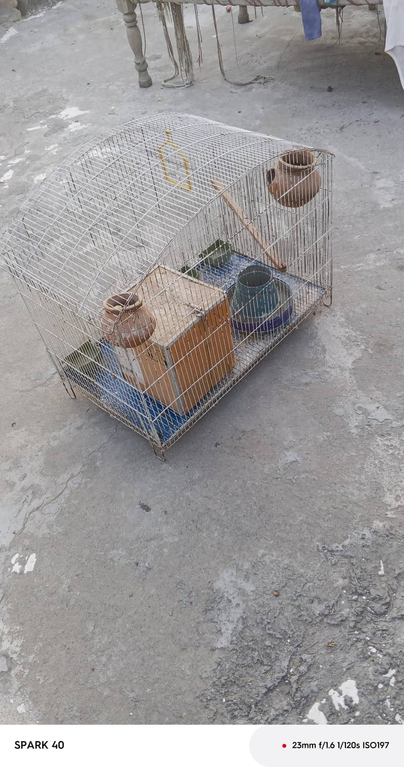 cages 0