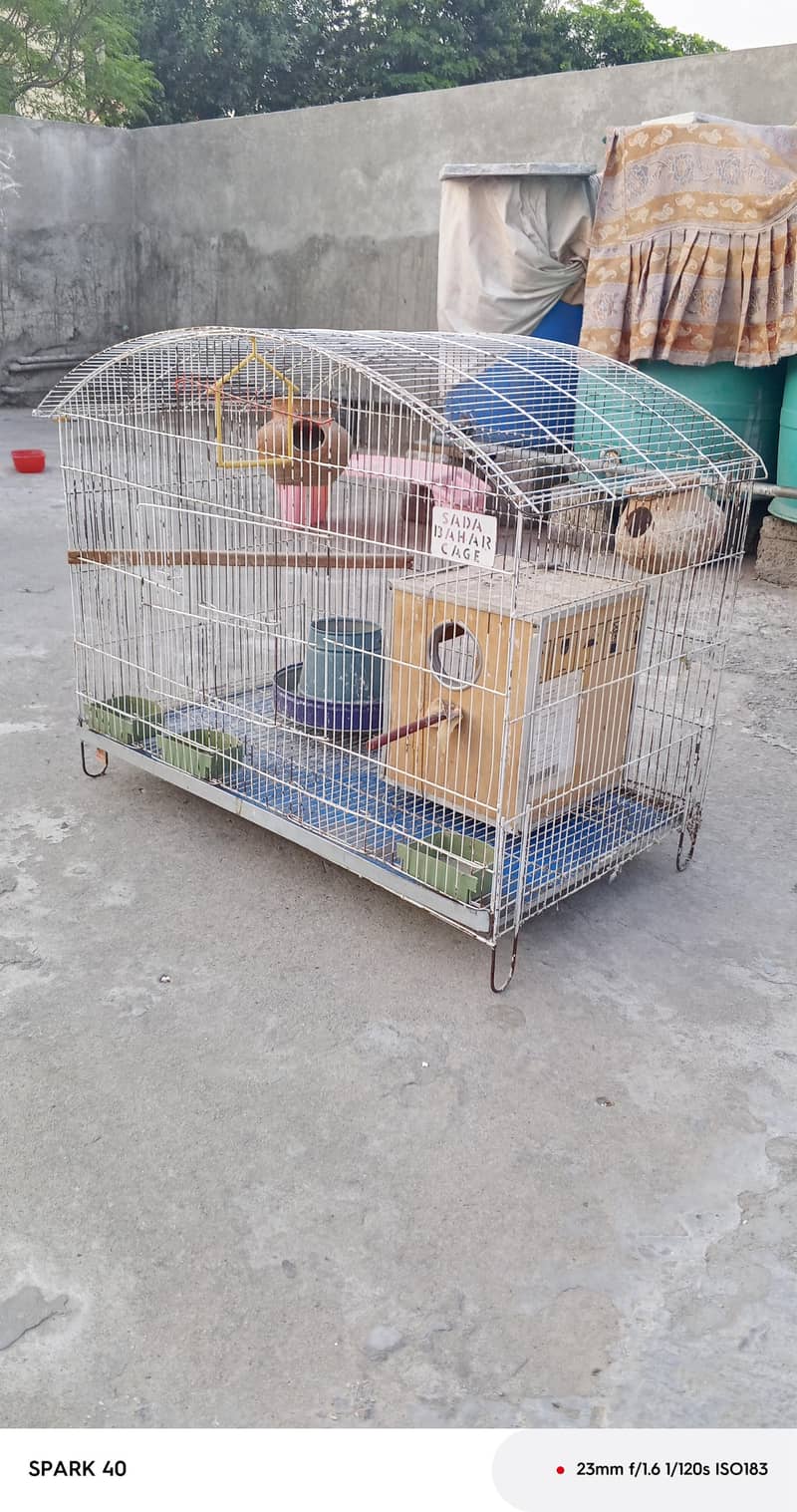 cages 1