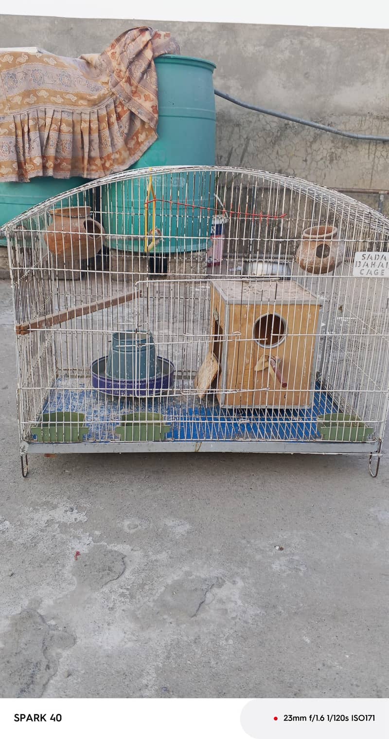 cages 3