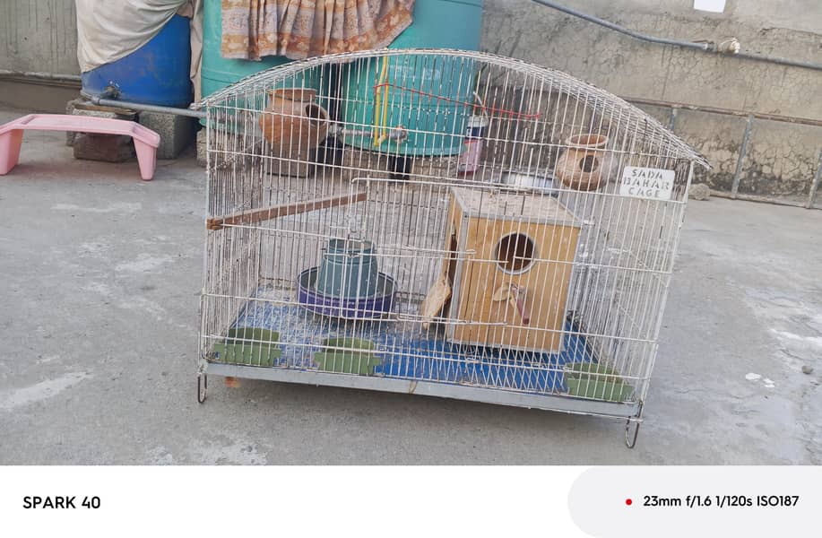 cages 4