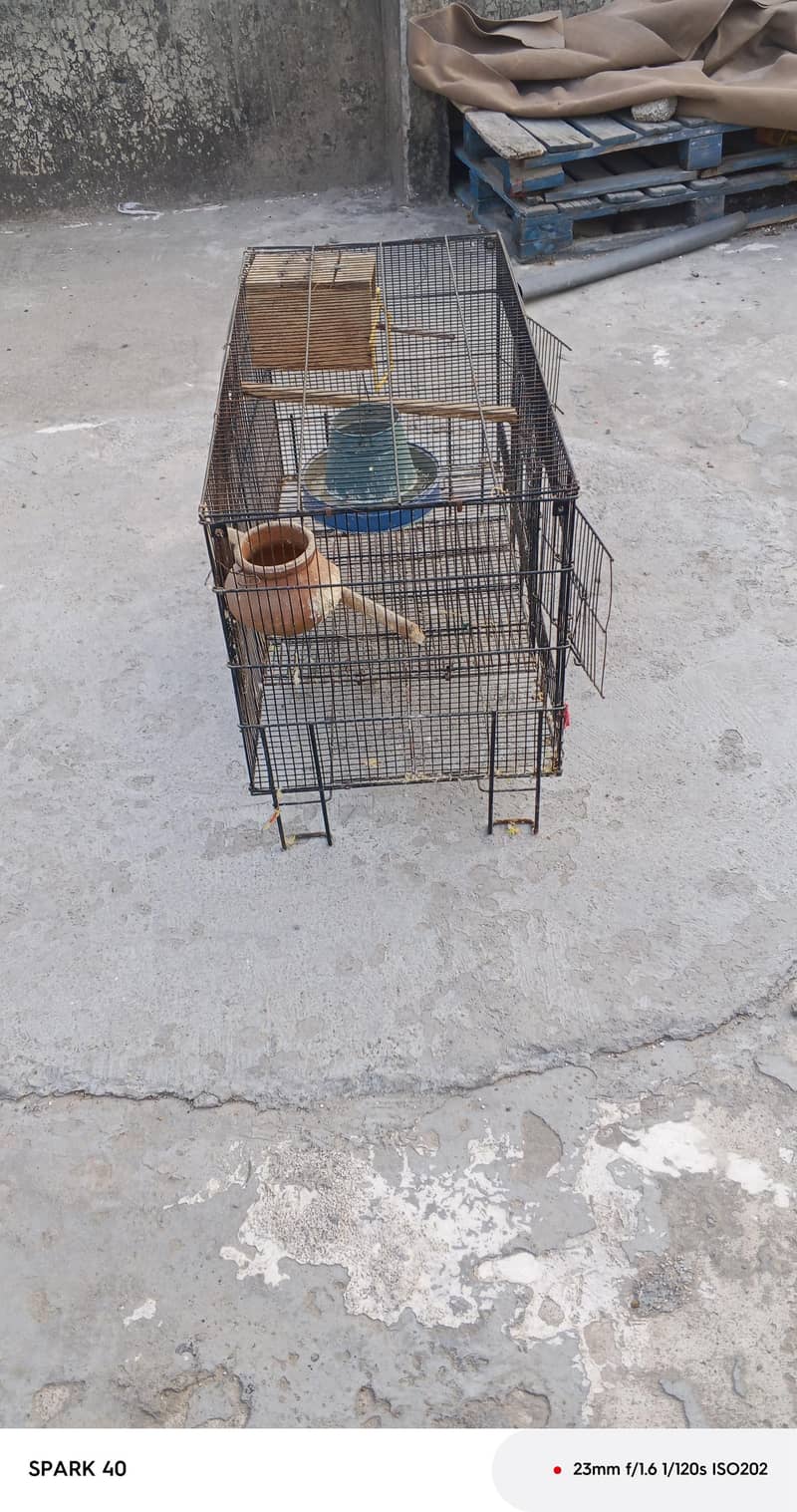 cages 5