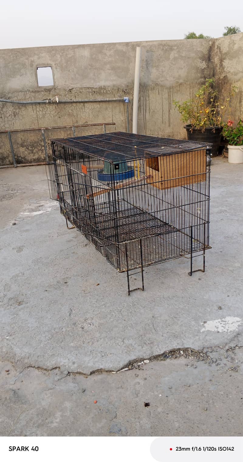 cages 6
