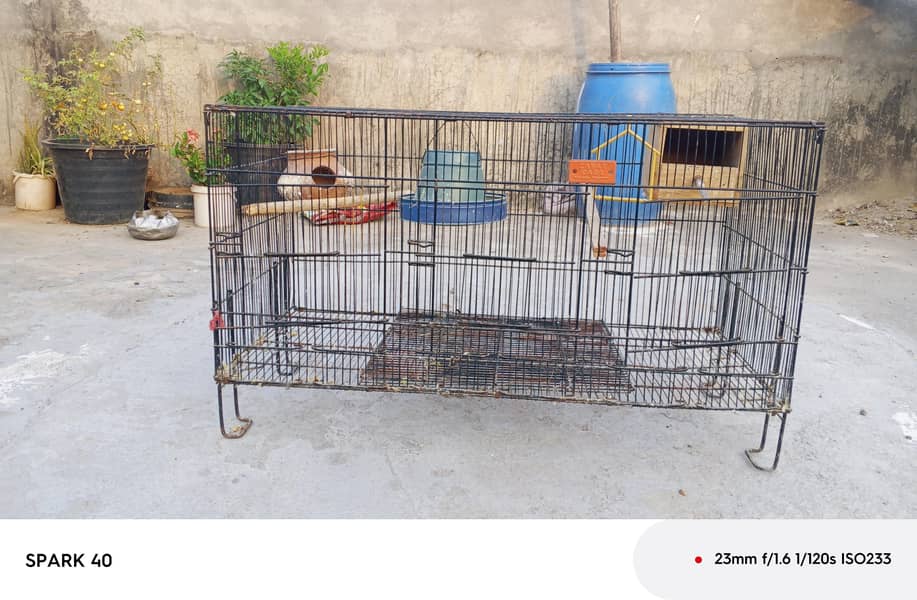 cages 7