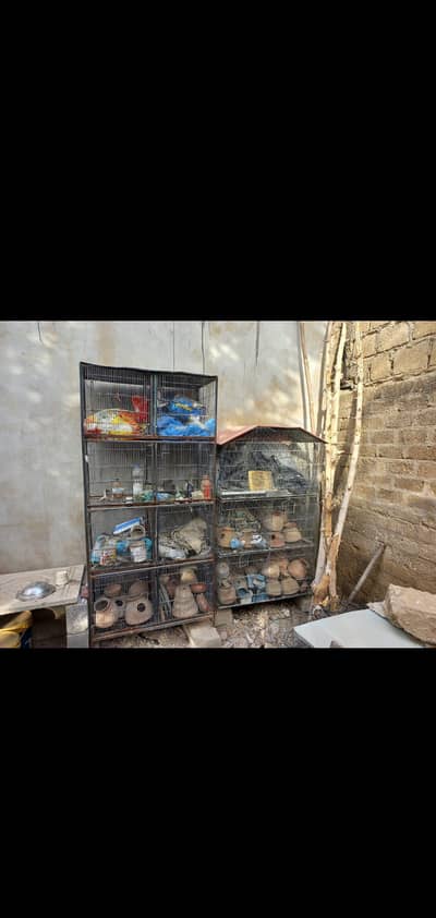 Cocktail Parrot Cages For Sale.