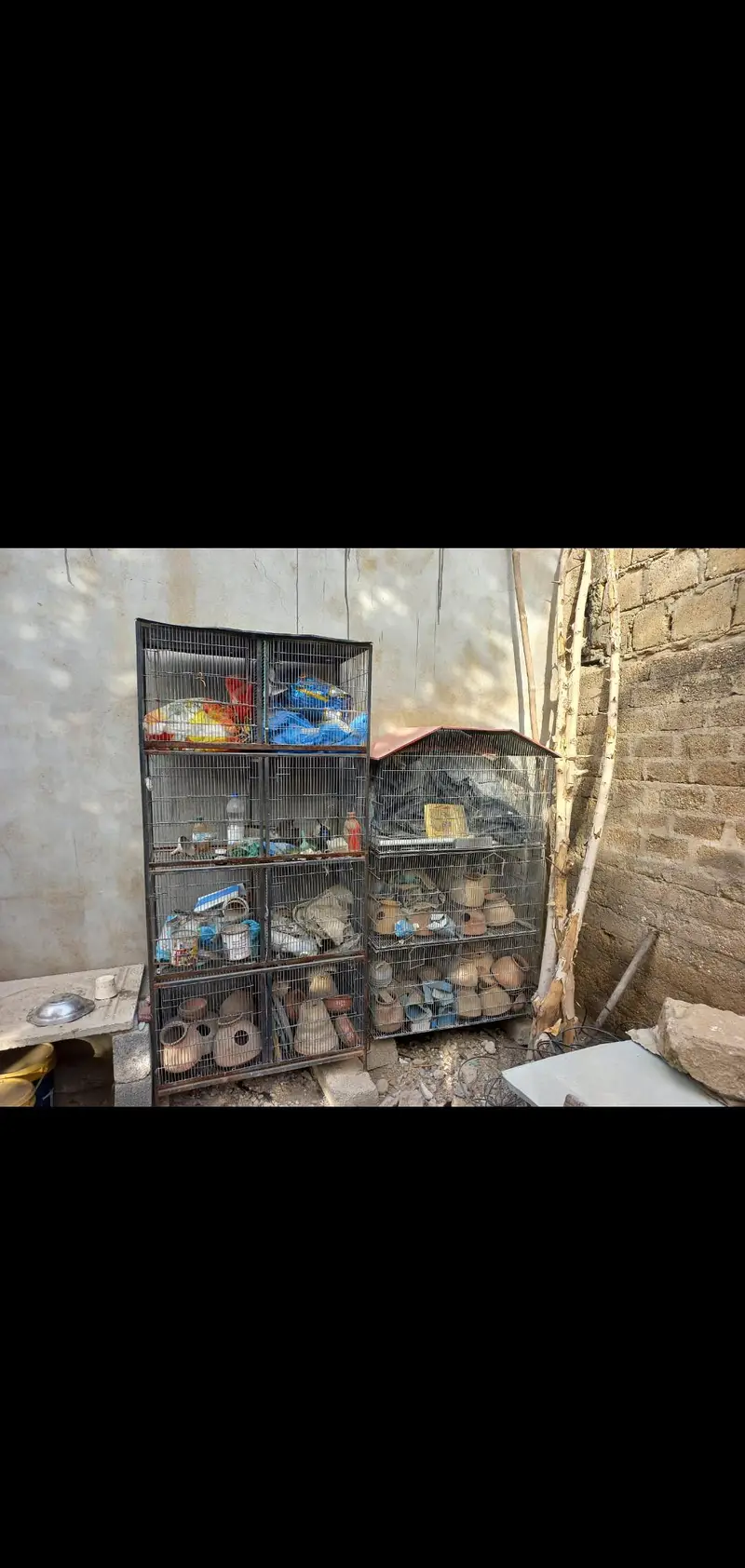 Cocktail Parrot Cages For Sale.