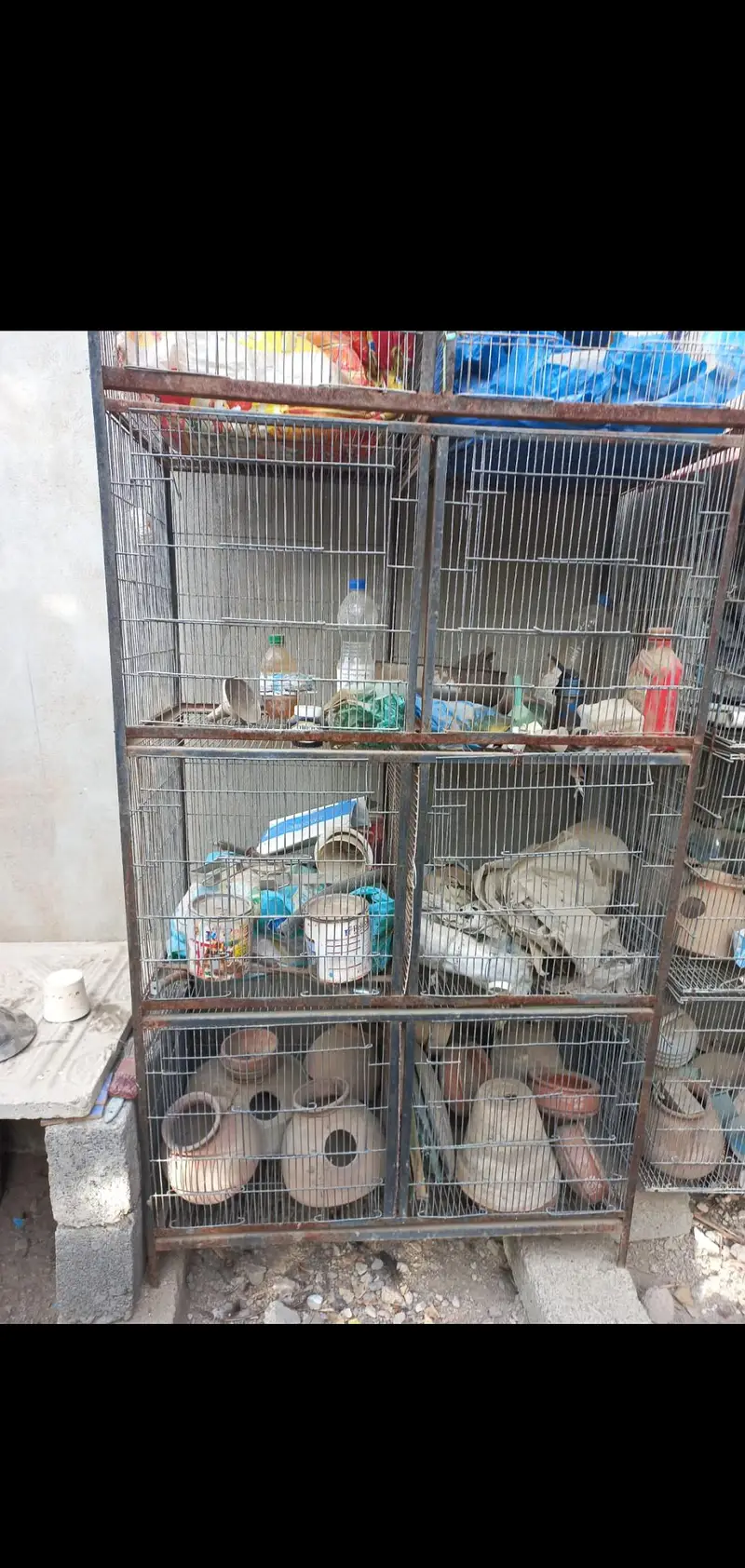 Cocktail Parrot Cages For Sale. — photo 2