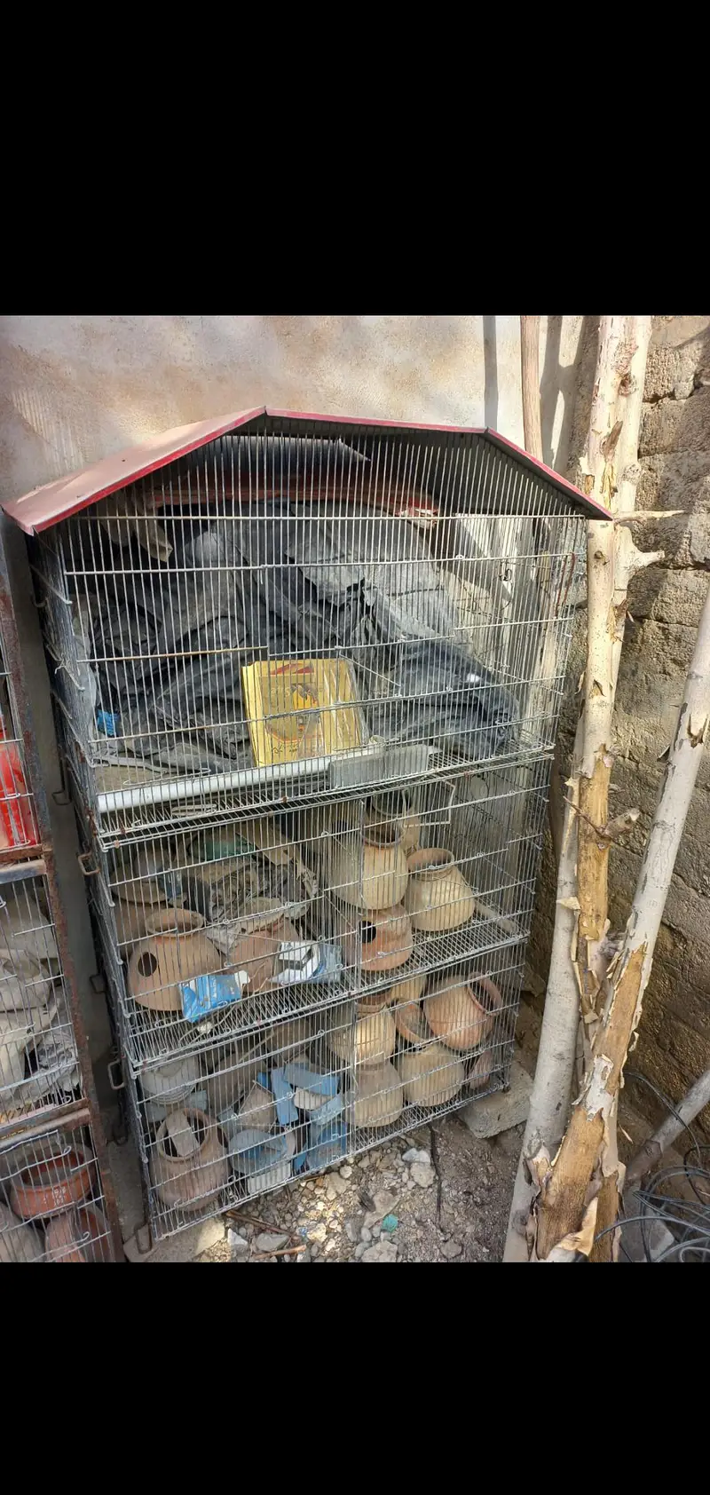 Cocktail Parrot Cages For Sale. — photo 4