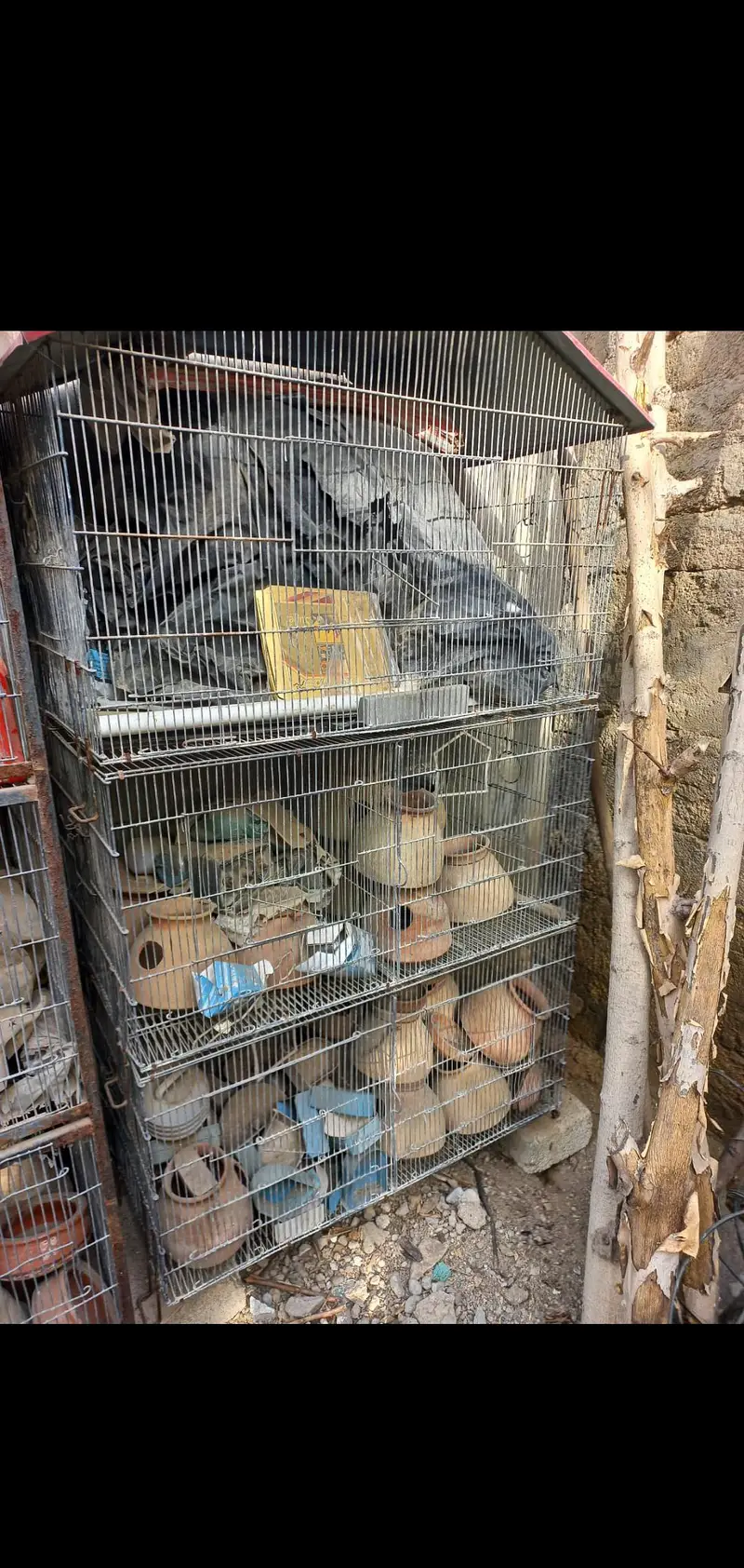 Cocktail Parrot Cages For Sale. — photo 8