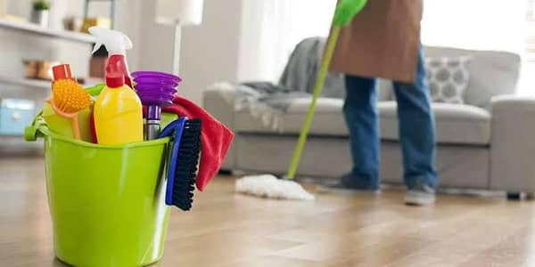 need a boy or girl for home worker maid