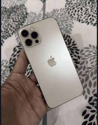 Apple iPhone 12 Pro