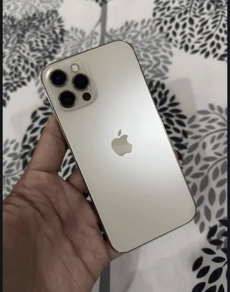 Apple iPhone 12 Pro 0