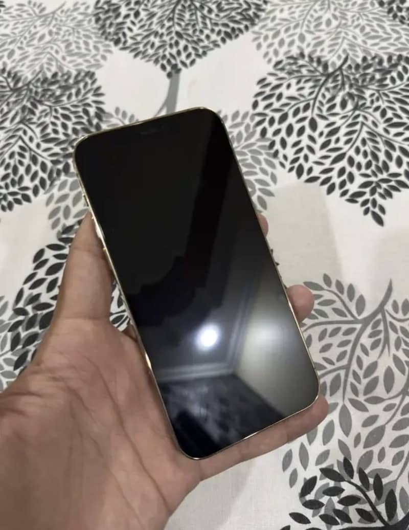 Apple iPhone 12 Pro 1